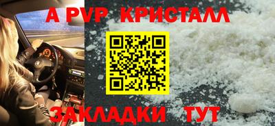 a pvp Лесной