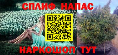 PSILOCYBIN Кудымкар