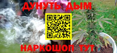 PSILOCYBIN Кудымкар