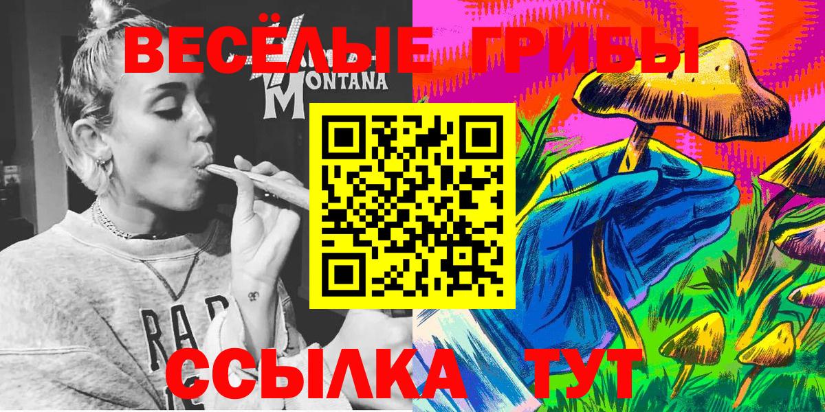 Псилоцибиновые грибы прущие грибы Москва